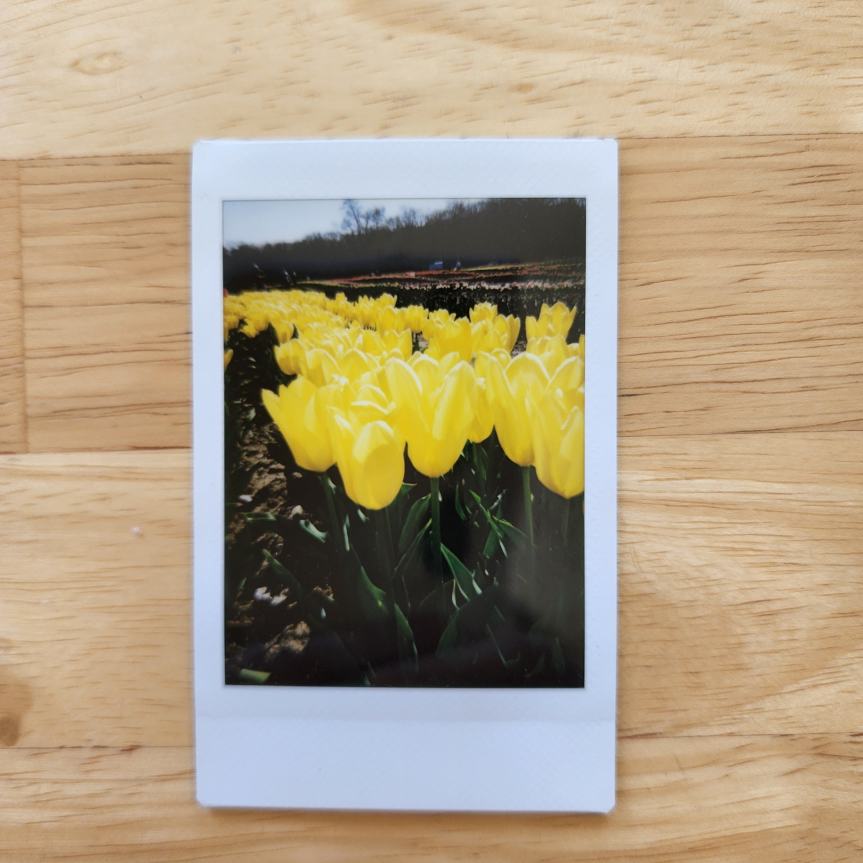 Stay at Home&nbsp;University