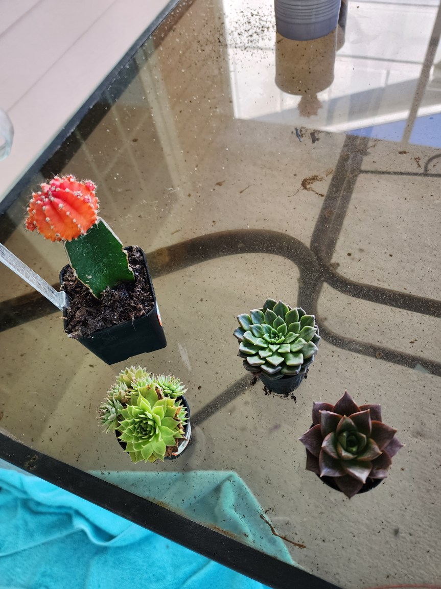 Why Has the Blogosphere Gotten So&nbsp;Quiet?