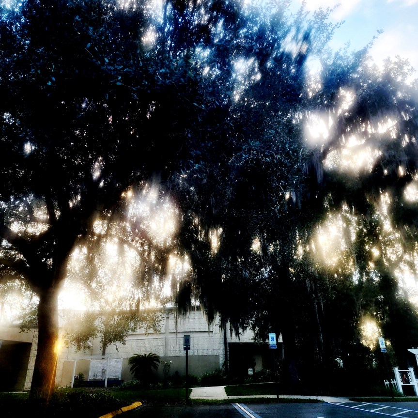 A Little Organization/Update