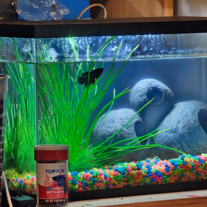 The Tiktok Outrage is&nbsp;Pathetic