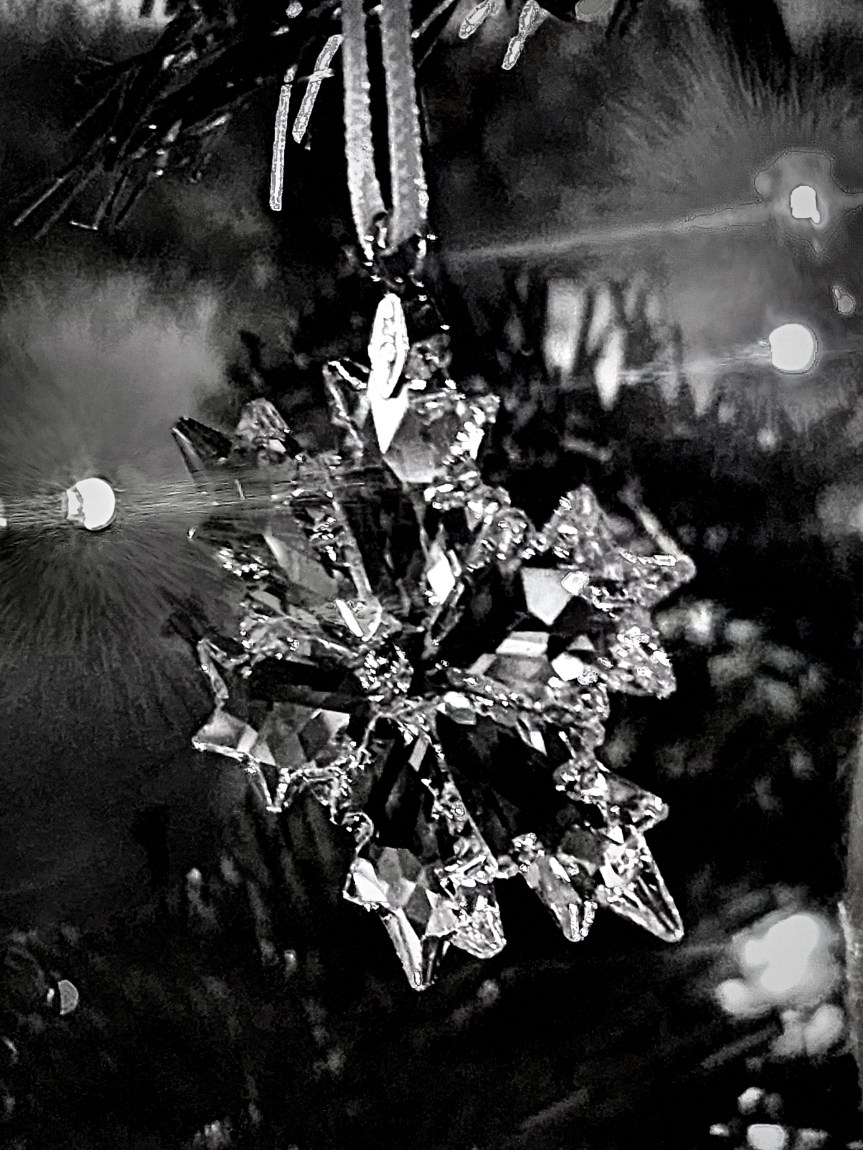 I’m a Victorian&nbsp;Housewife