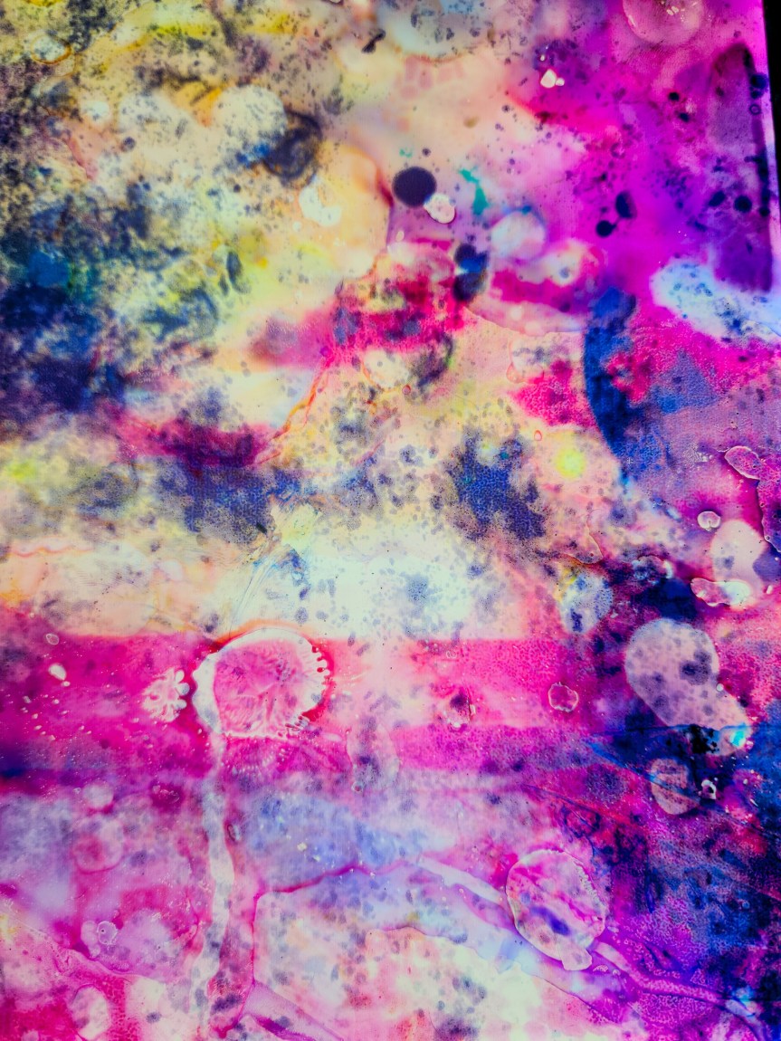 Hospital, Book, Feminine&nbsp;Literature