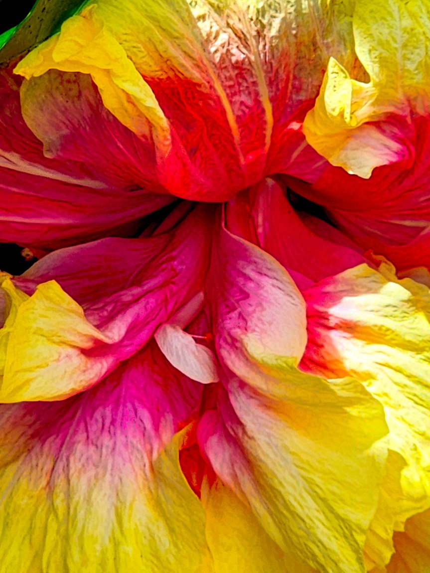 I Throw Out My&nbsp;Art