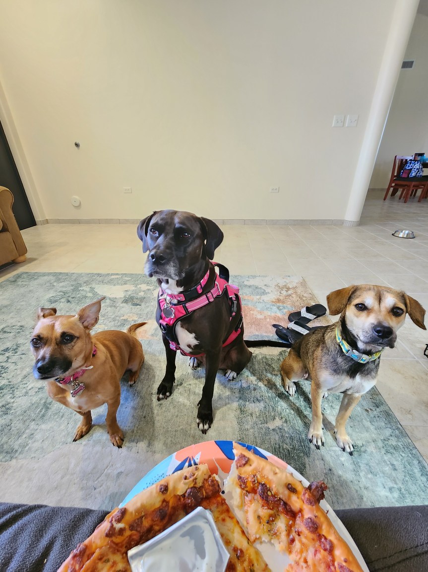 New House, New Family&nbsp;Member