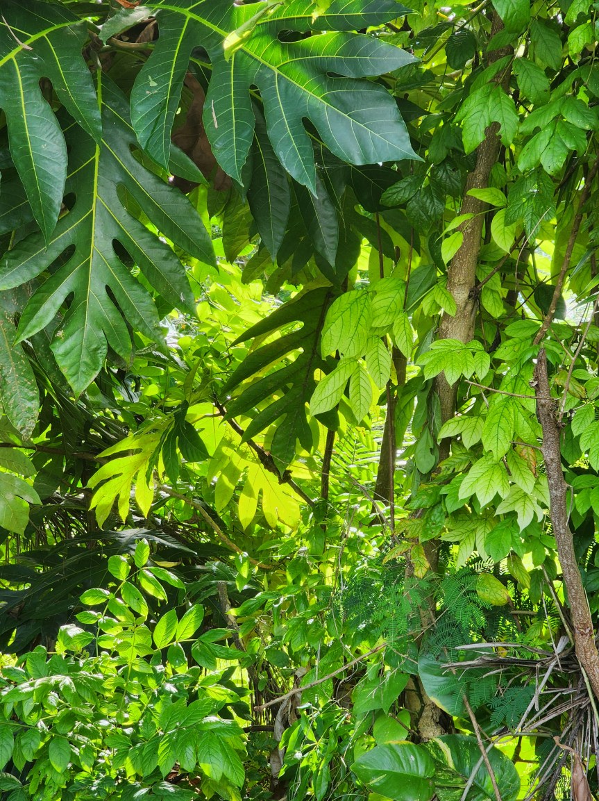 Quiet Couple of&nbsp;Weeks